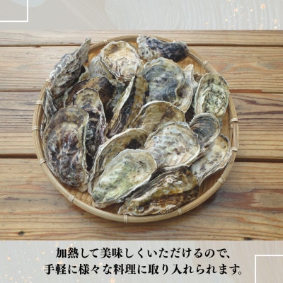 戸石町産 殻付き真牡蠣 約2kg(約20個/加熱用)