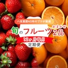 【発送月固定定期便】旬のフルーツセット 季節により厳選した果物を1～2品目　詰め合わせ全12回