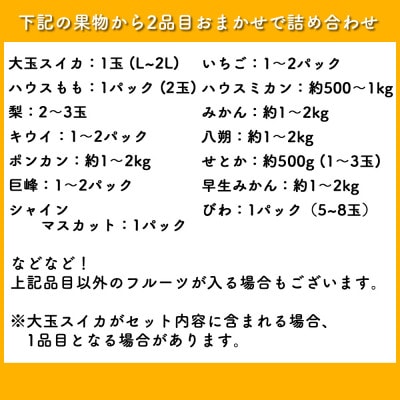 【発送月固定定期便】旬のフルーツセット 季節により厳選した果物を1～2品目　詰め合わせ全12回