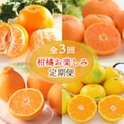 【発送月固定定期便】柑橘 お楽しみ定期便 みかん ポンカン 不知火など フルーツおまかせ便全3回