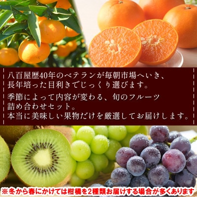 【発送月固定定期便】旬のフルーツ定期便 食べ比べセット 季節の果物を2品目詰め合わせ全4回