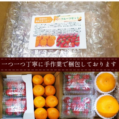 【発送月固定定期便】旬のフルーツ定期便 食べ比べセット 季節の果物を2品目詰め合わせ全4回