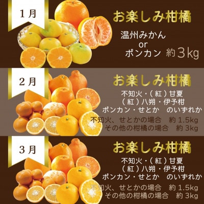 【発送月固定定期便】【長崎】旬のフルーツ定期便ライト シャインマスカット 巨峰 桃 びわ など全7回