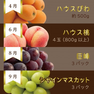 【発送月固定定期便】【長崎】旬のフルーツ定期便ライト シャインマスカット 巨峰 桃 びわ など全7回