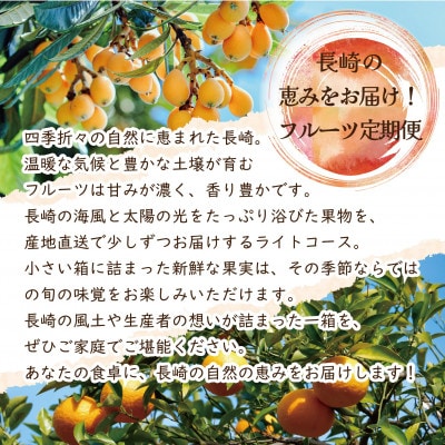 【発送月固定定期便】【長崎】旬のフルーツ定期便ライト シャインマスカット 巨峰 桃 びわ など全7回