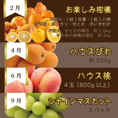 【発送月固定定期便】【長崎】旬のフルーツ定期便ライト シャインマスカット 桃 びわ 柑橘 など全4回