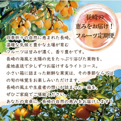 【発送月固定定期便】【長崎】旬のフルーツ定期便ライト シャインマスカット 桃 びわ 柑橘 など全4回