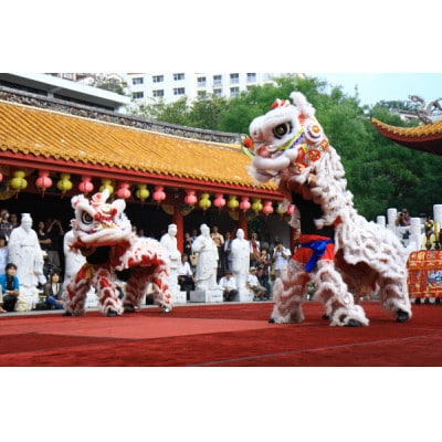 【額装写真】【孔子祭　中国獅子舞】画寸A3サイズ[M07-5663]