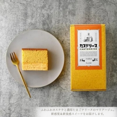【毎月定期便】長崎カステリーヌ　2個　～パティシエが生み出す新感覚スイーツ～全3回
