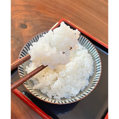 楽天市場】長崎県 コシヒカリ（米・雑穀｜食品）の通販