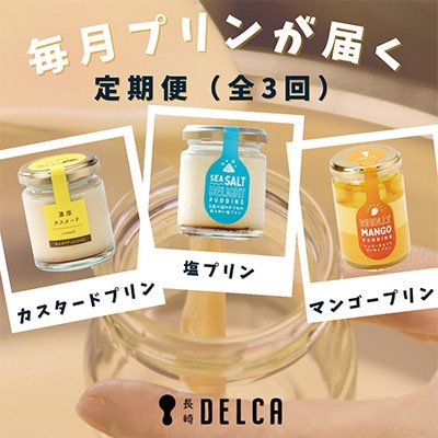 【毎月定期便】長崎浜んまちPUDDINGの職人による人気プリンが毎月届く全3回