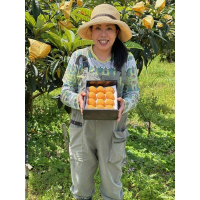 長崎特産なつたより3L