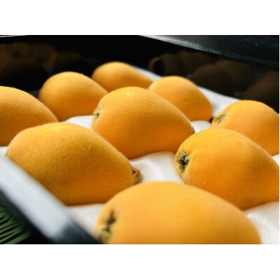 長崎県産品　なつたより　びわ　8粒 3L