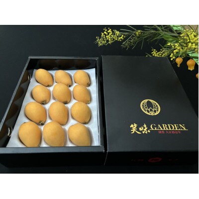 長崎特産品　茂木びわ　12粒　L・2L混合