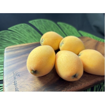 長崎特産品　茂木びわ　12粒　L・2L混合