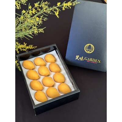 長崎特産品　茂木びわ　12粒　L・2L混合