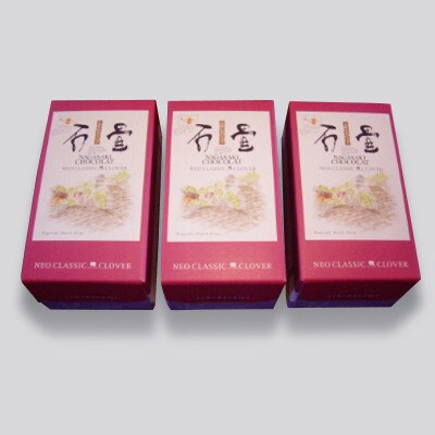 【毎月定期便】長崎石畳ショコラ ハーフサイズ3個(長崎市)全3回