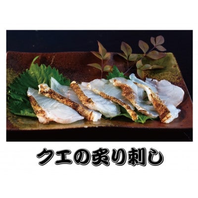 ★長崎県産(森のクエ)★クエ鍋セット・炙り刺しセット(1人前)