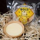 ゆうこうのレアチーズケーキ 8個入り～バタモン工房～