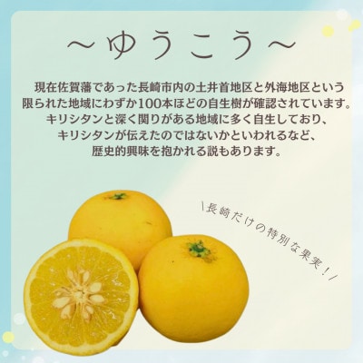 ゆうこうのレアチーズケーキ 8個入り～バタモン工房～