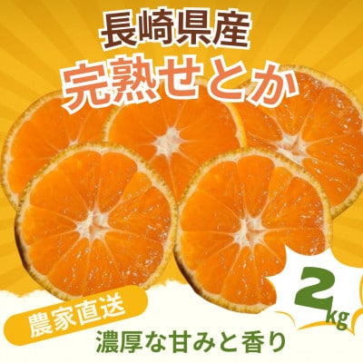 【先行予約】長崎県産 完熟せとか 2kg(濃厚な甘みと香り・農家直送)
