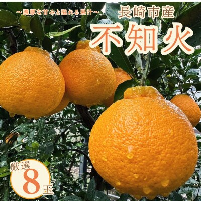長崎県産 不知火 厳選8玉(農家直送)〜濃厚な甘みと溢れる果汁〜