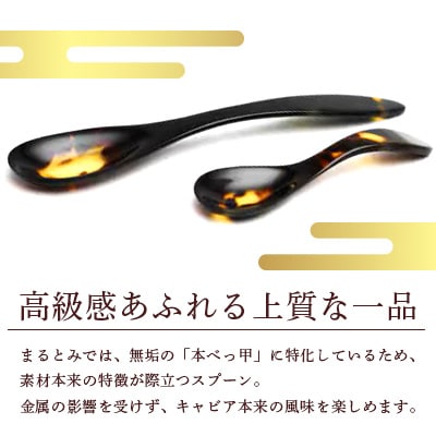 本べっ甲キャビアスプーン2本セット　～長崎べっ甲細工まるとみ～