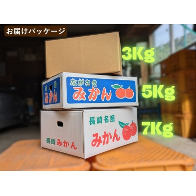 【樹上完熟】長崎みかん(徳森早生)計3kg