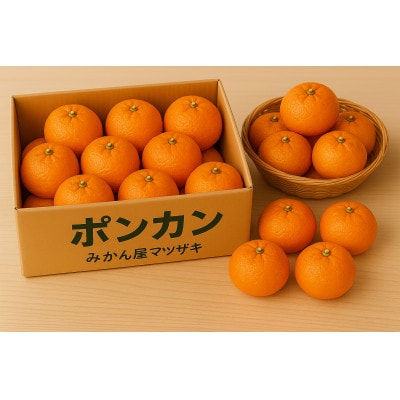 【樹上完熟】長崎みかん(ポンカン)計3kg