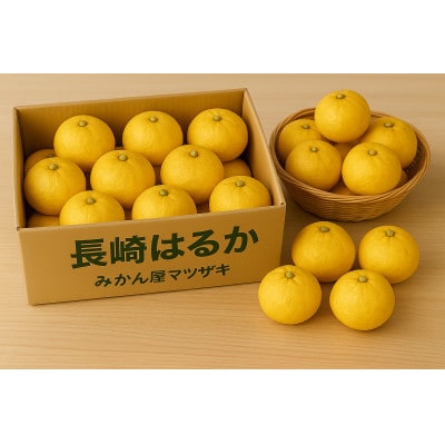 【樹上完熟】長崎みかん(はるか)計3kg