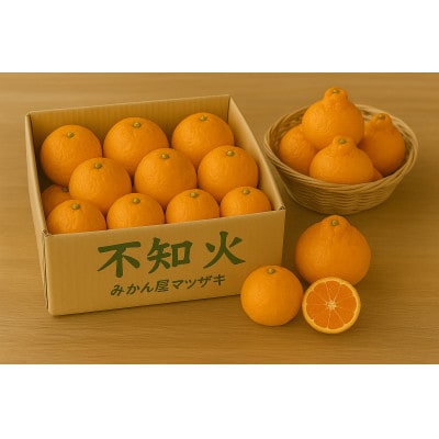 【樹上完熟】長崎みかん(不知火デコポン近縁種)計3kg