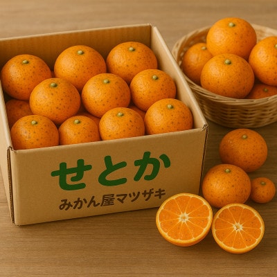 訳あり品　長崎みかん(せとか)計3kg