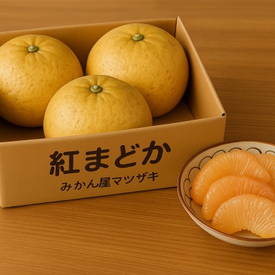 【樹上完熟】長崎みかん(紅まどか・文旦・ザボン)計5kg