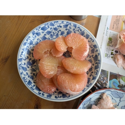 【樹上完熟】長崎みかん(紅まどか・文旦・ザボン)計5kg