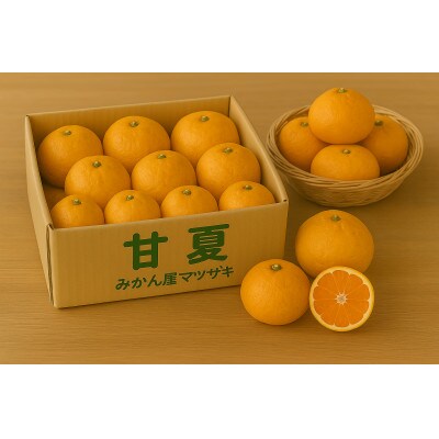 【樹上完熟】長崎みかん(甘夏みかん)計5kg