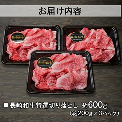 【A4～A5ランク】長崎和牛 特選切り落とし 約600g(約200g×3パック)(長崎市)
