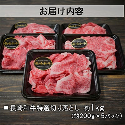 【A4～A5ランク】長崎和牛 特選切り落とし 約1kg(200g×5パック)(長崎市)