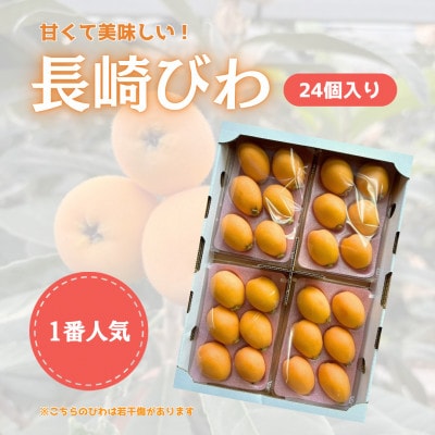 長崎県産ハウスびわ 計1キロ Lサイズ24個入り