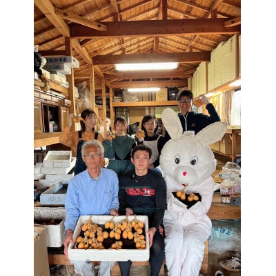 長崎県産ハウスびわ 計1キロ Lサイズ24個入り