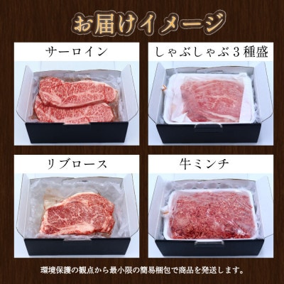 【発送月固定定期便】長崎和牛 トライアルコース 計3.4kg お肉の定期便全6回