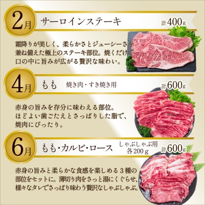 【発送月固定定期便】長崎和牛 トライアルコース 計3.4kg お肉の定期便全6回