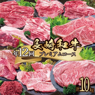 【発送月固定定期便】長崎和牛 プレミアムコース 計10kg 牛肉バラエティ大満足定期便全12回