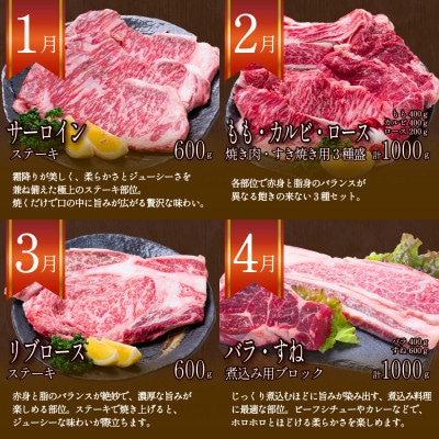 【発送月固定定期便】長崎和牛 プレミアムコース 計10kg 牛肉バラエティ大満足定期便全12回