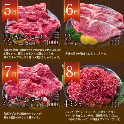 【発送月固定定期便】長崎和牛 プレミアムコース 計10kg 牛肉バラエティ大満足定期便全12回