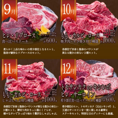 【発送月固定定期便】長崎和牛 プレミアムコース 計10kg 牛肉バラエティ大満足定期便全12回