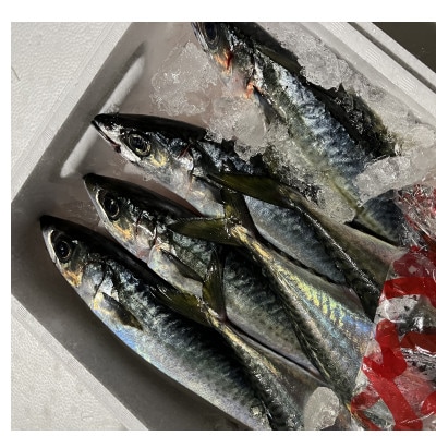 【骨取り】長崎県産さば切身(無塩)約30g×10切れ×3P