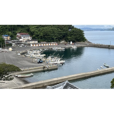 【骨取り】長崎県産真鯛切身　300g(10切)×3P