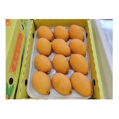 長崎市産露地びわ(千々(ちぢ)んびわ)約600g(9玉または12玉)