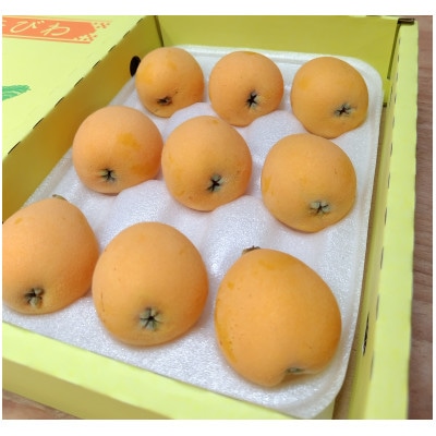 長崎市産露地びわ(千々(ちぢ)んびわ)約600g(9玉または12玉)
