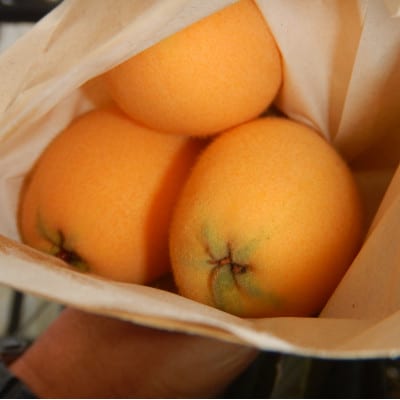 長崎市産露地びわ(千々(ちぢ)んびわ)約600g(9玉または12玉)